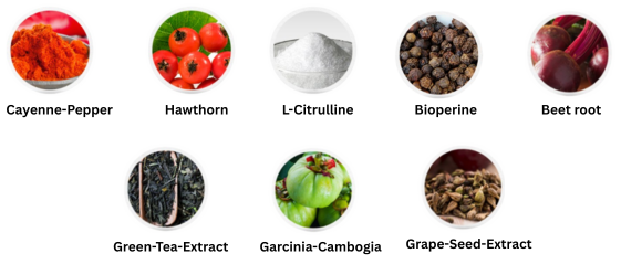 NiteiLean-Ingredients