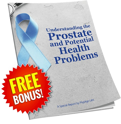 Prostate 911 Bonus1
