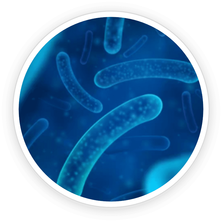 Brainsync ingredient 5