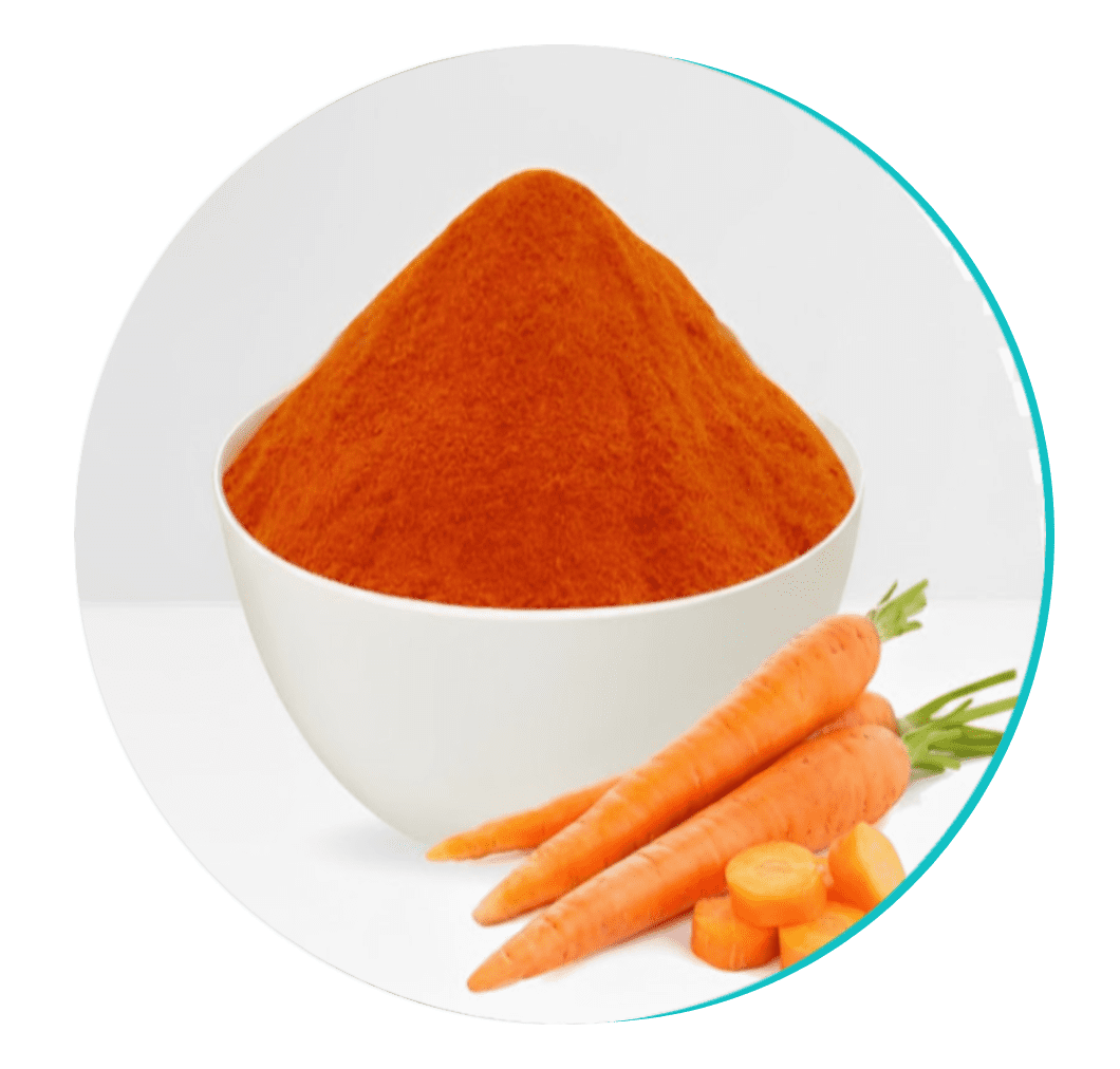 Carrot Powder - Biodentex