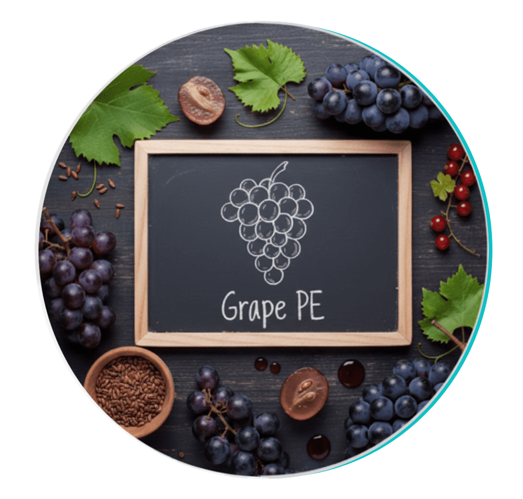 Grape seed extract - Biodentex