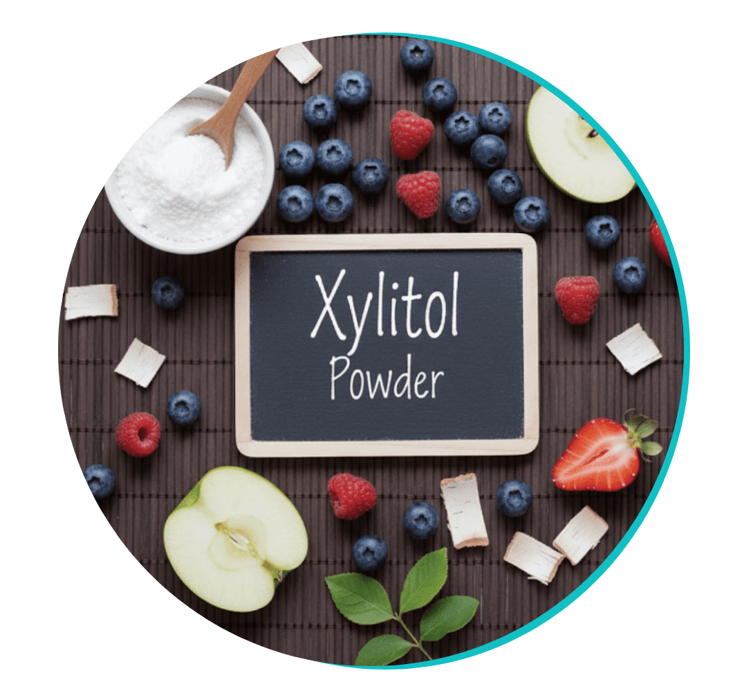 Xylitol Powder - Biodentex